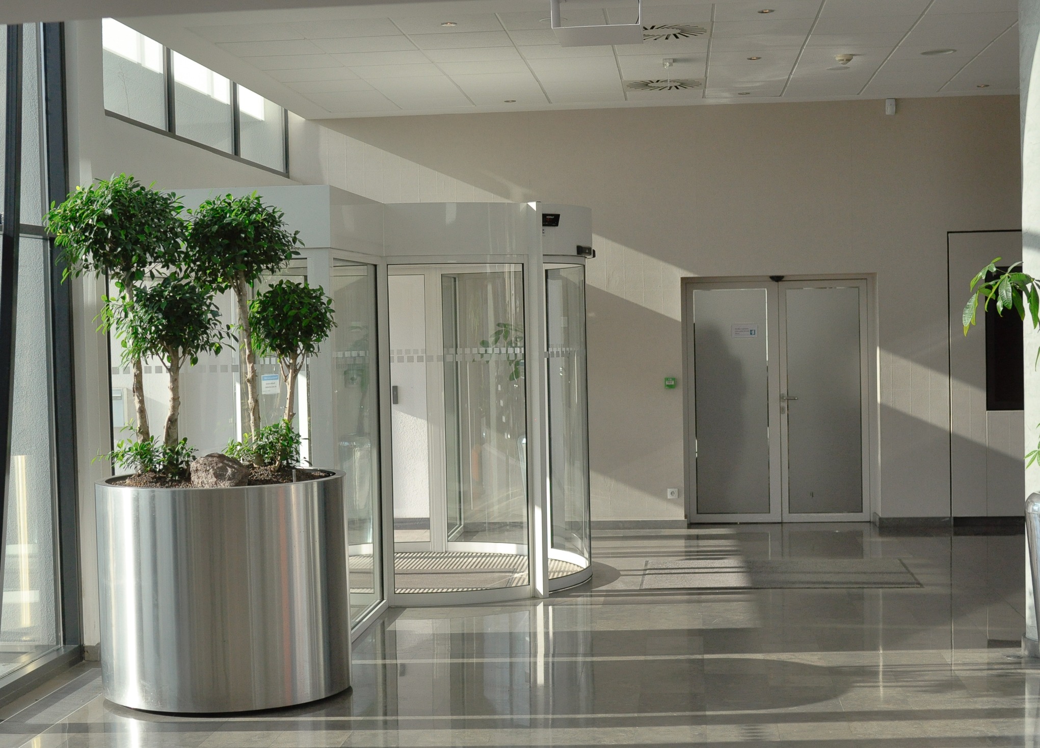 Aménagement de plante dans bureau/ Blumstein créateur floral/Strasbourg