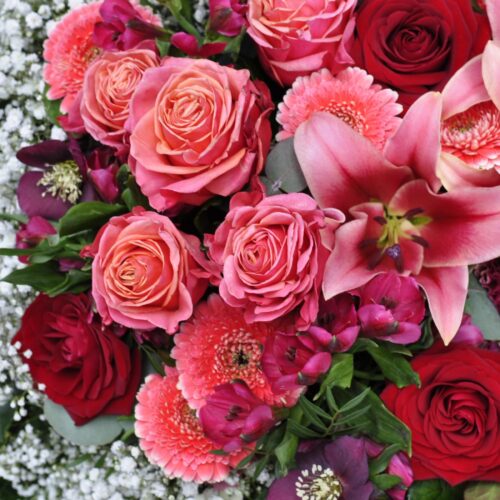 Gros plan des fleurs du grand coeur pour un deuil