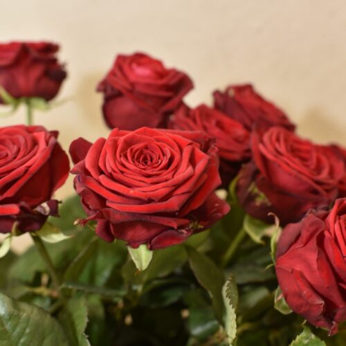 Le Bouquet de grandes Roses rouge et d'autres roses