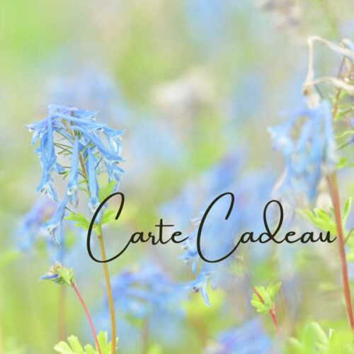 Fleuriste strasbourg carte cadeau