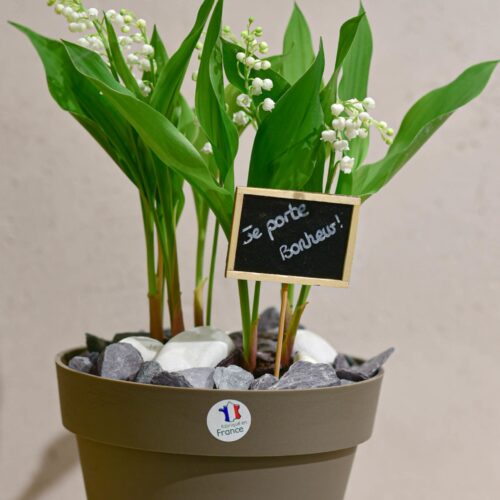 Le pot de Muguet de plein de bonheur