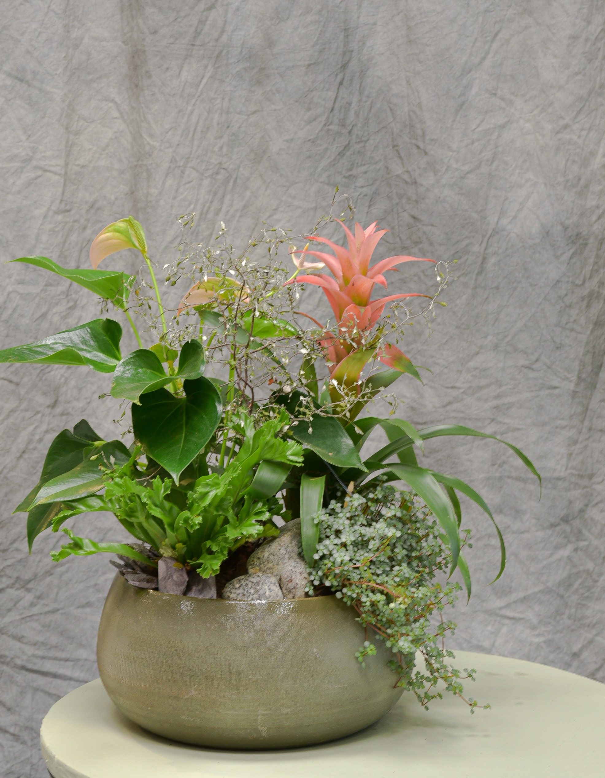 Une Création végétale exotique – Anthurium aux couleurs uniques – Image 6