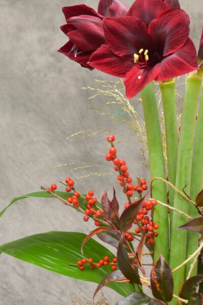 un bouquet en hauteur de style stylisé avec des Amaryllis selon la saison_-4