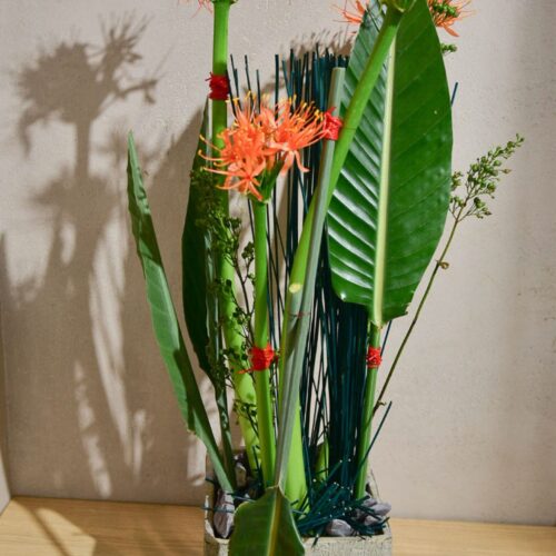 Abonnement floral avec des fleurs exotique_