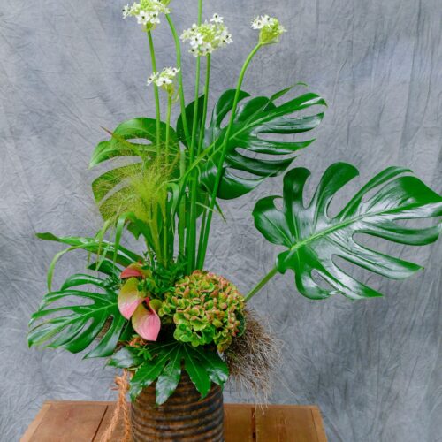 Compostion floral pour un abonnement_-2