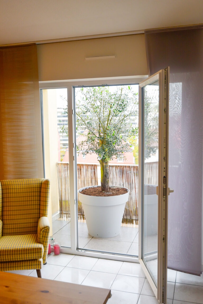 Un magnifier Olivier sur le Balcon_