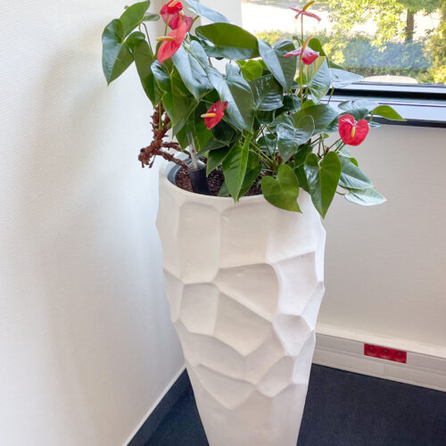 Un pot de Caractère dans un bureau_