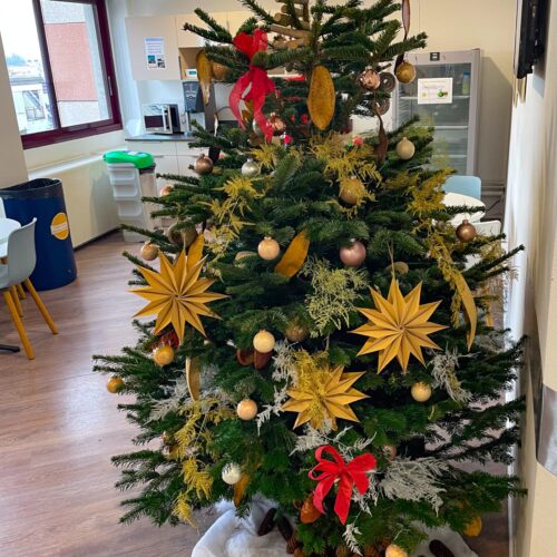 Décor de Sapin de Noël dans une entreprise_-3