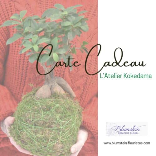 Une carte cadeau pour réaliser un kokedama