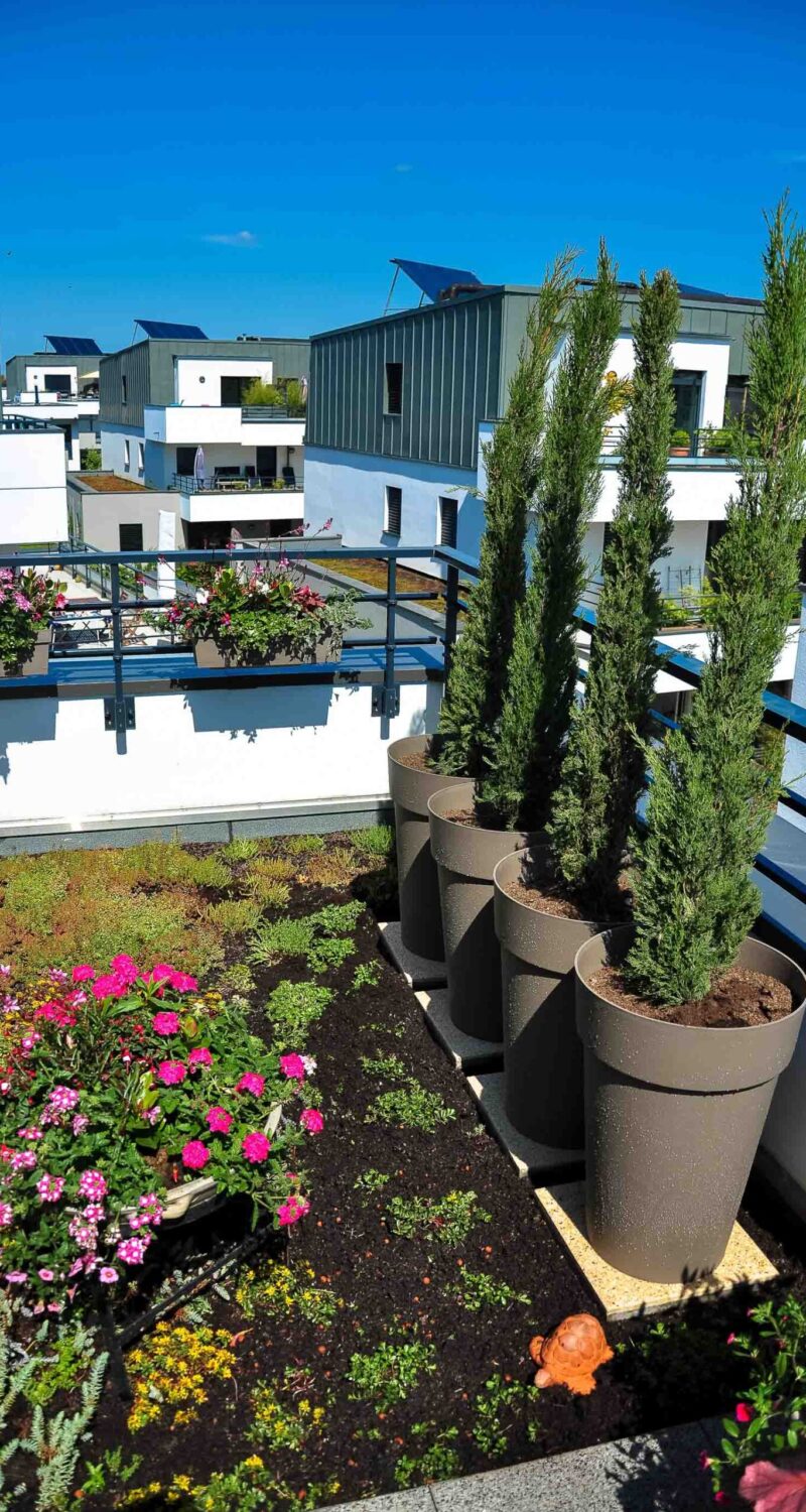 Aménagment comme en Toscane