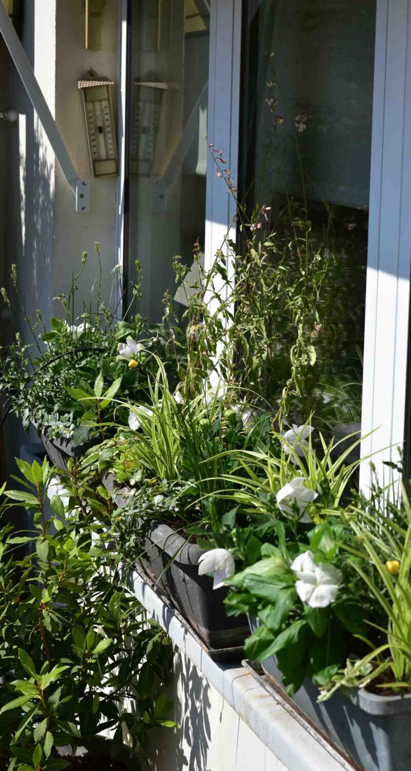 Aménagment de la terrasee comme à l'Anglaise -2