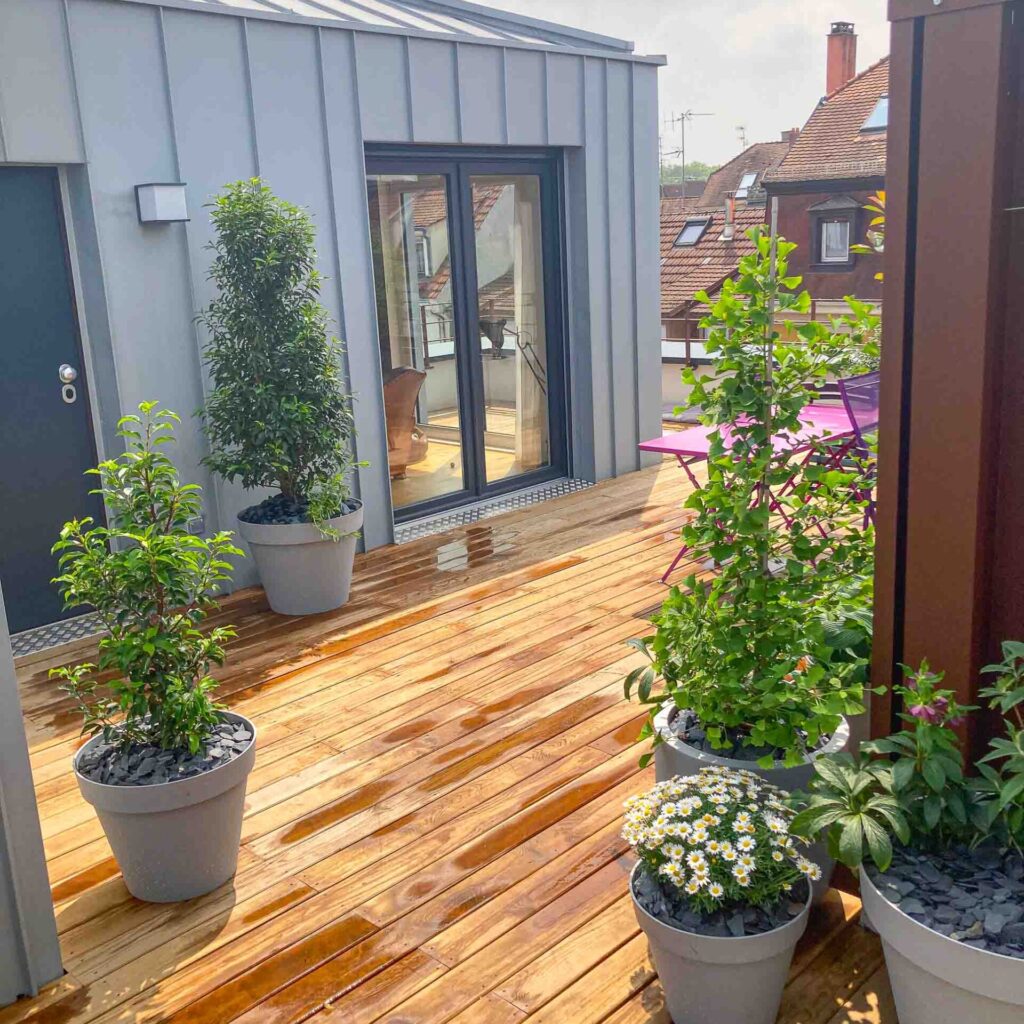 Terrasse avec des plantes en pots.