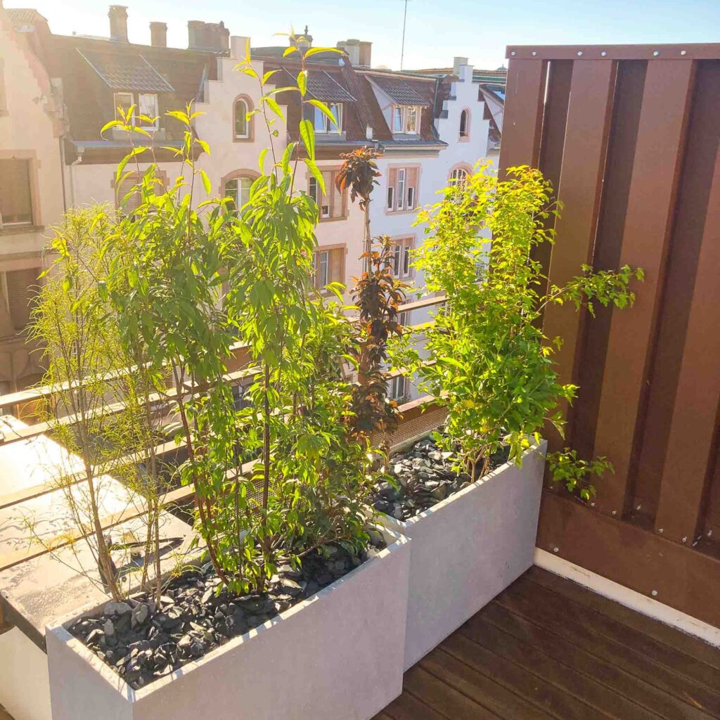 Jardin sur un balcon ensoleillé.