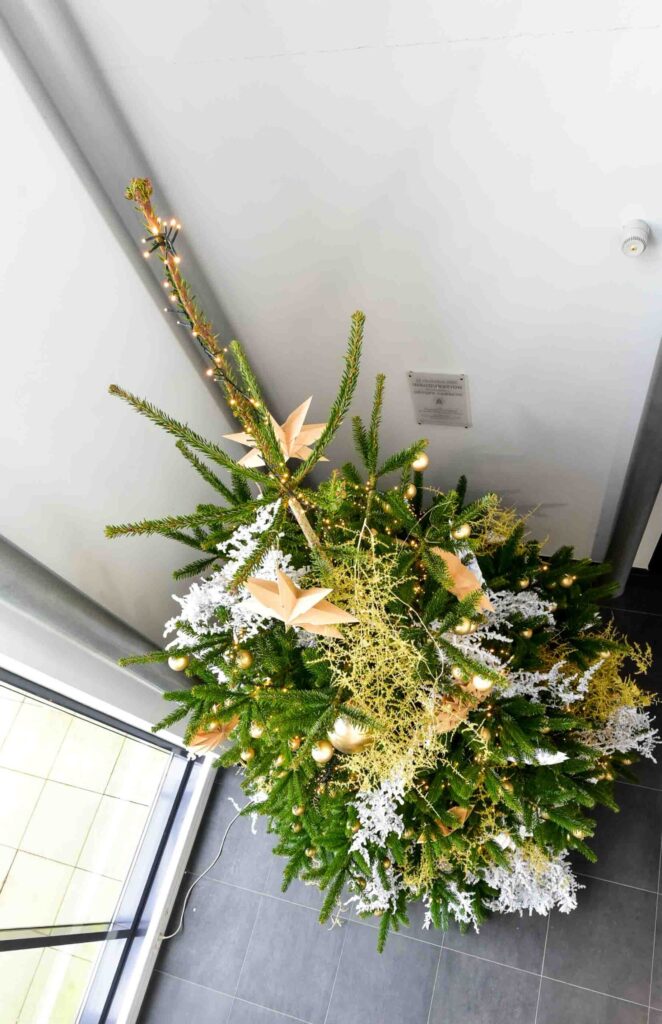Sapin de Noël décoré avec élégance.