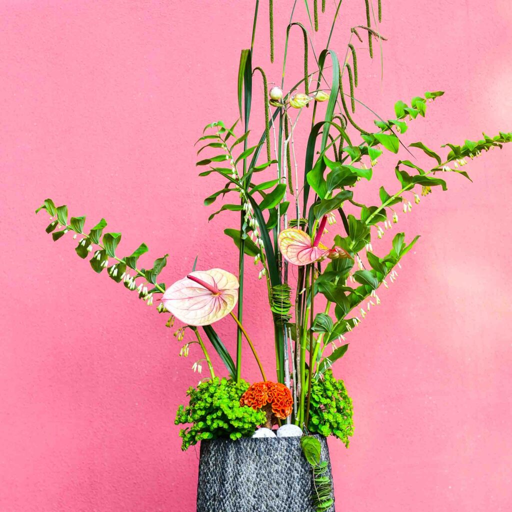 Arrangement floral coloré sur fond rose.