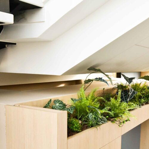 Plantes vertes dans un espace moderne.