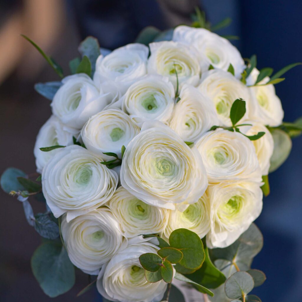 Bouquet de mariée de renoncule blanche -5