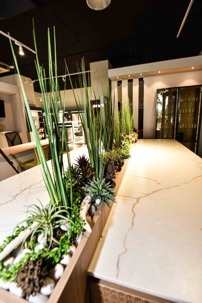 Mise en scéne de plantes artificiel dans un magasin de cuisine -2