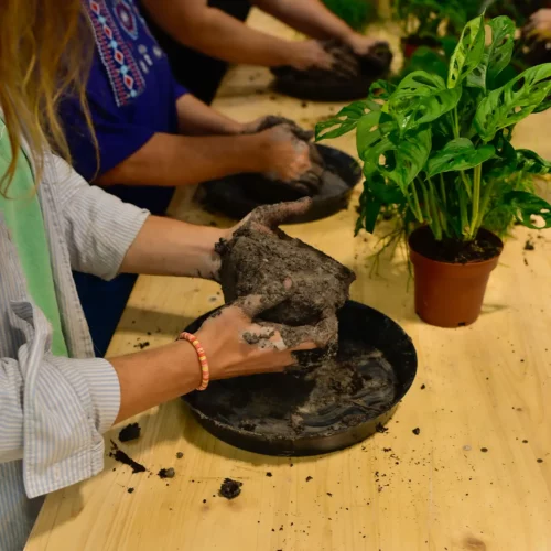 Atelier de Kokedama_-3