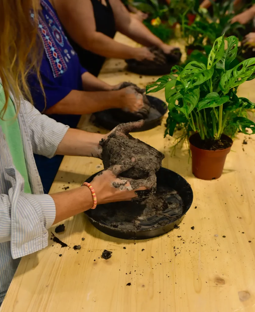 Atelier de Kokedama_-3