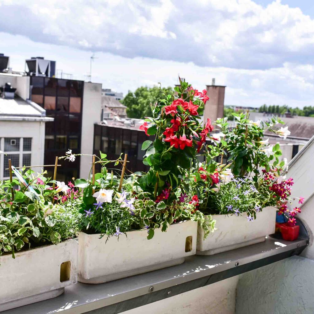 Les jardinières avec un peps de couleurs