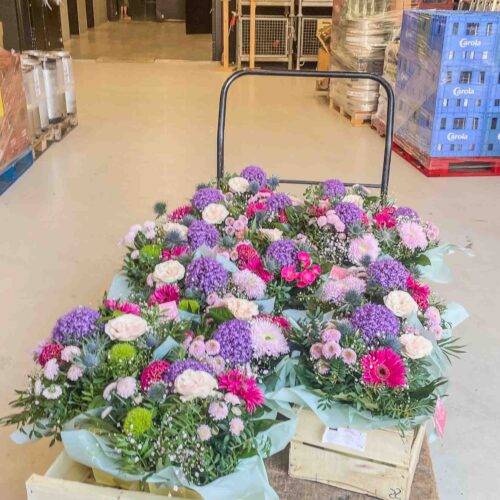Les plantes en scènes dans des bureaux -9