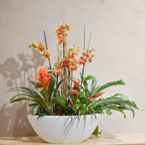 Arrangement floral avec des orchidées colorées