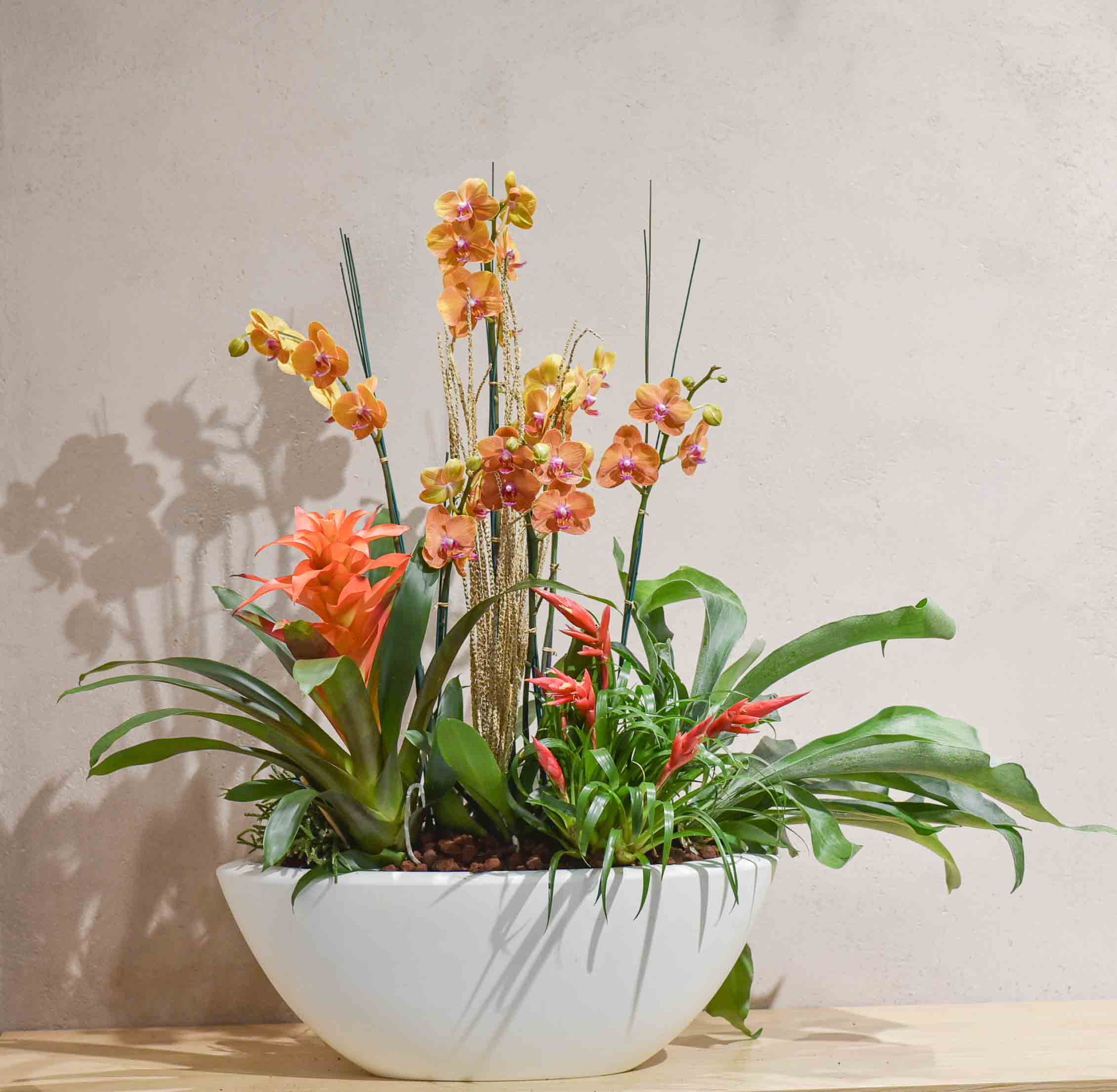 Une superbe composition avec une Orchidée et des plantes exotique